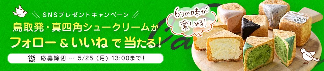 SNSプレゼントキャンペーン（202605）