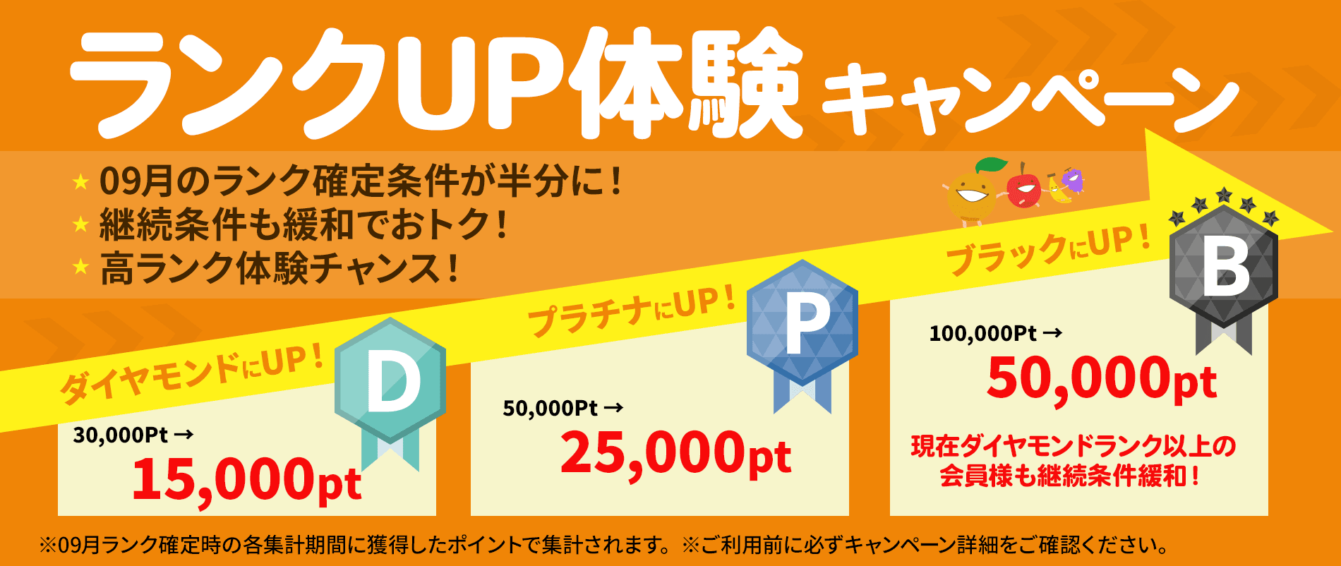 rankup-cp_202505_strapihead.png
